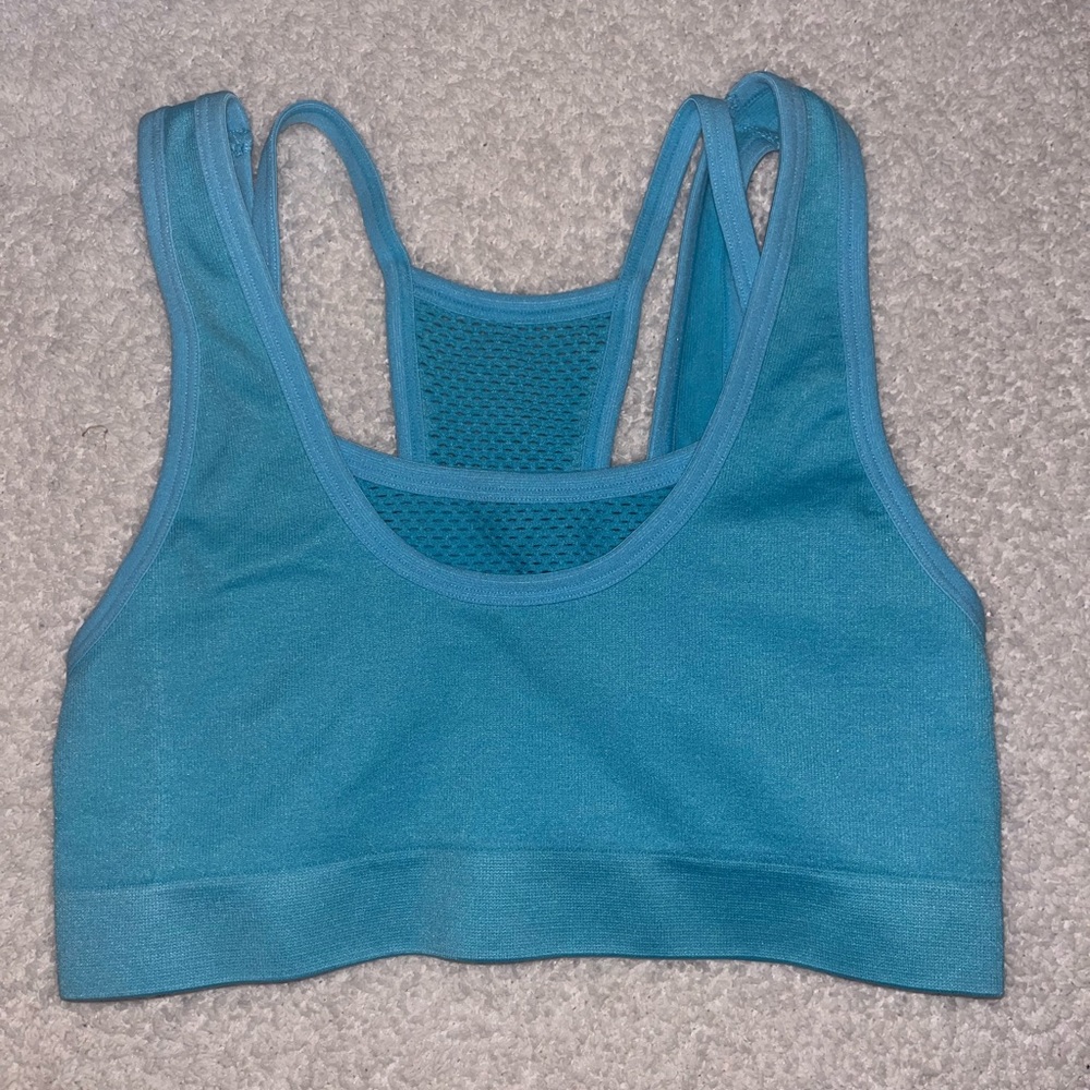 Aerie sports bra